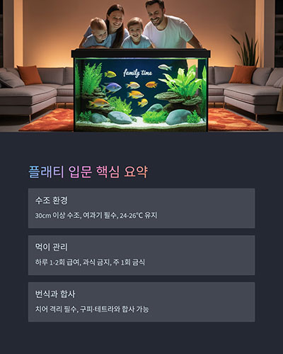 입문 팁 요약표