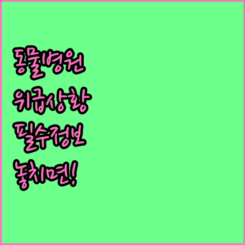 군위군 동물 병원 현황과 24시간 응..