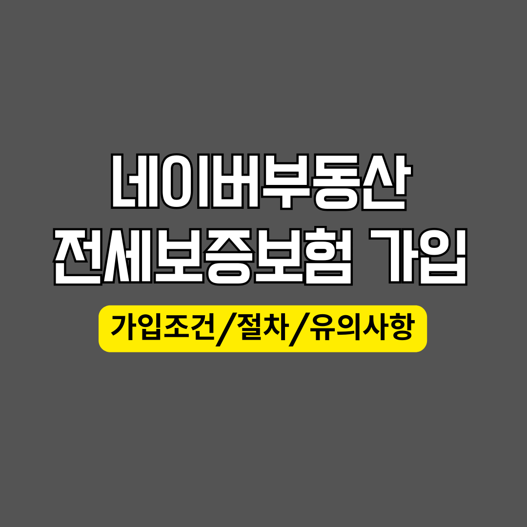 λ€μ΄λ²λΆλμ° μ μΈλ³΄μ¦λ³΄ν