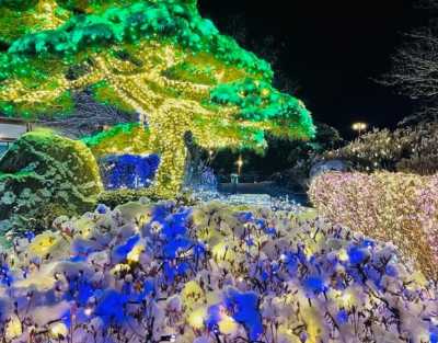 365일 빛축제 가을에 꼭 가봐야할 빛축제 BEST 5