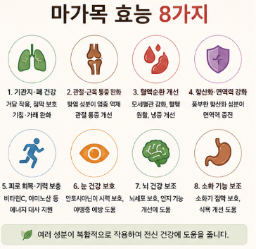 마가목-효능-성질-진액-부작용-효과