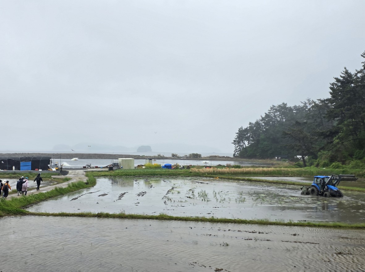 태안 서해랑길 완주 원정대 73코스