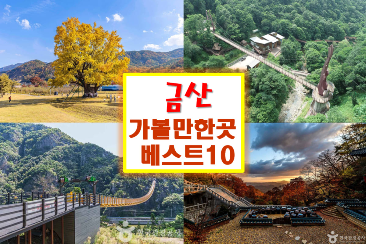 금산 가볼만한곳 베스트10