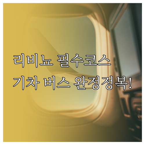 리비뇨 대중교통 이용법 기차와 버스 ..
