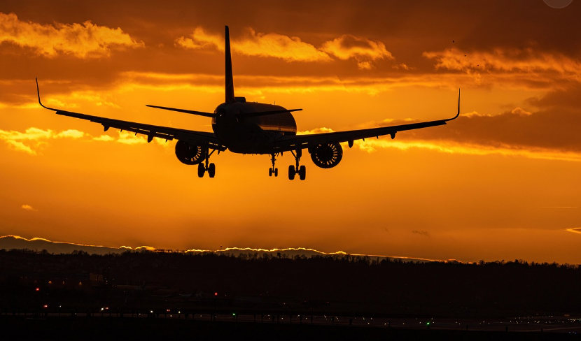 여행 비행기 사진
