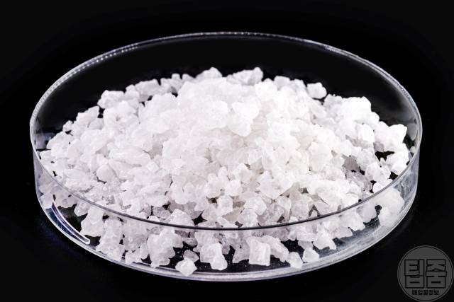 발바닥 양파 양말속에 양파 넣고자면