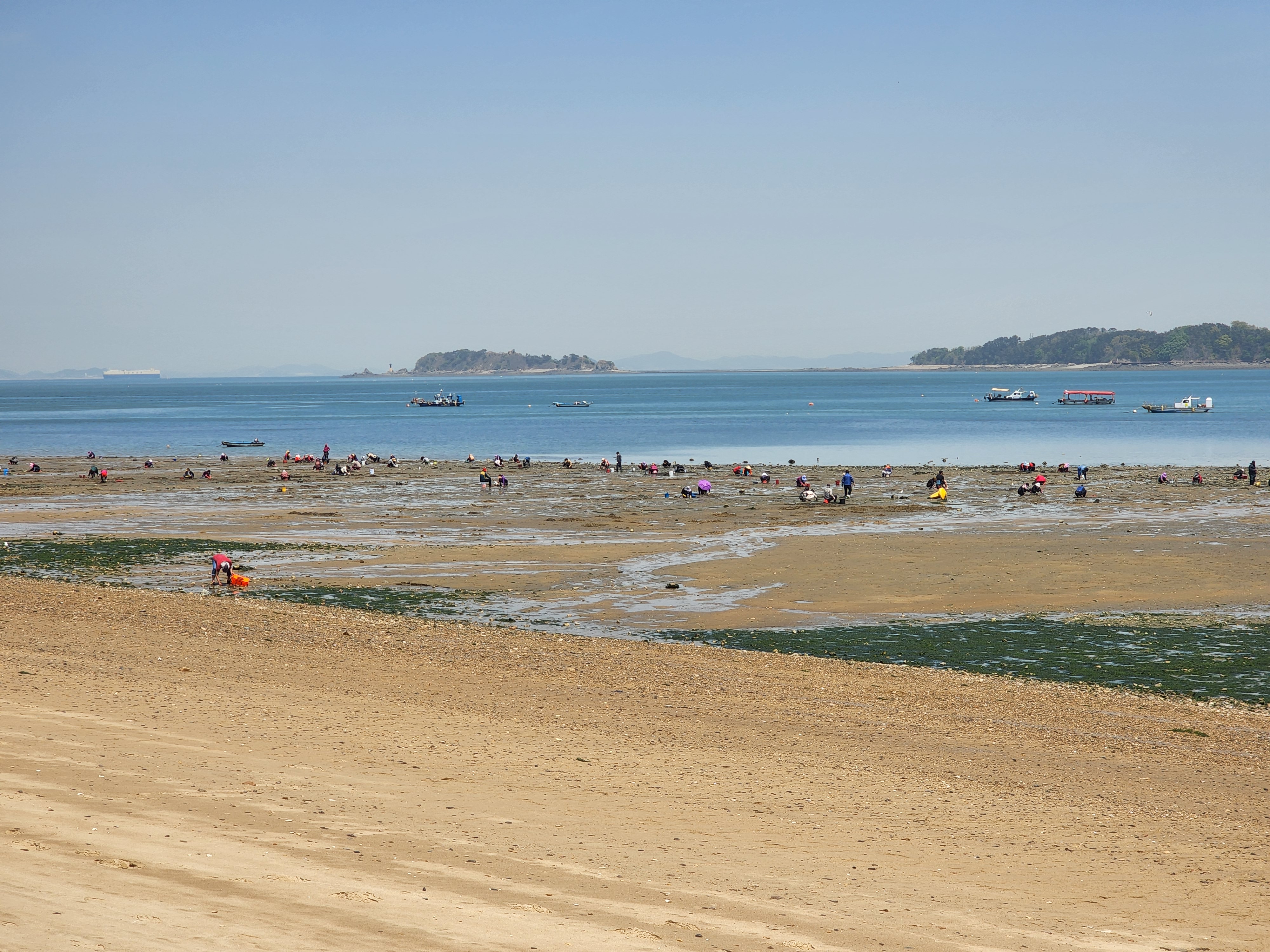 왜목마을 해수욕장 갯벌