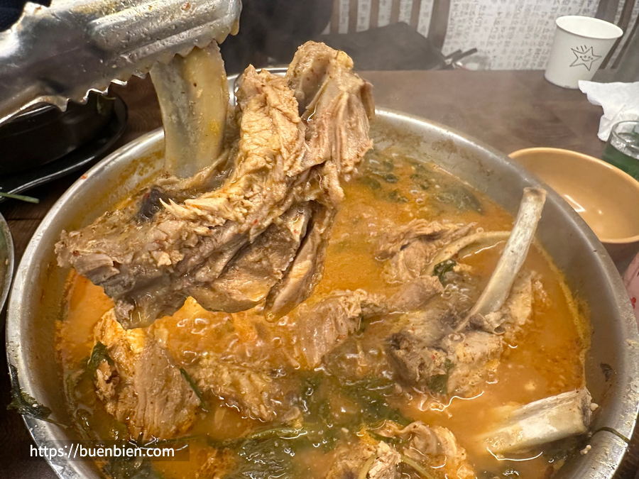 제주 감자탕 맛집 탕자감 후기 Jeju Gamjatang Spot 'Tangjagam' Review