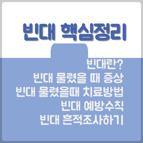 빈대 핵심정리