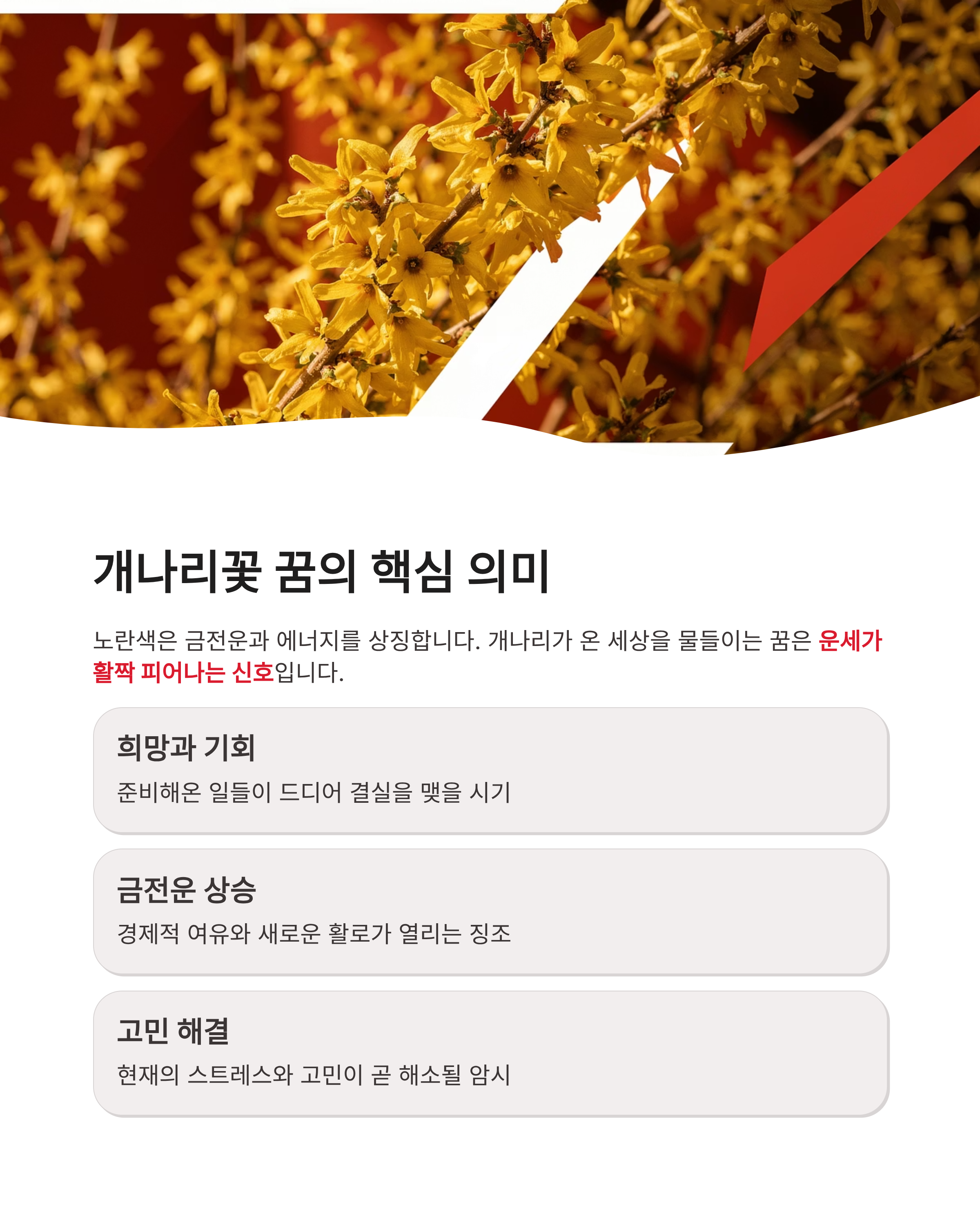 개나리꽃 꿈 해몽, 개나리 피는 꿈, 개나리 태몽 혹은 선물 받는 꿈 해몽