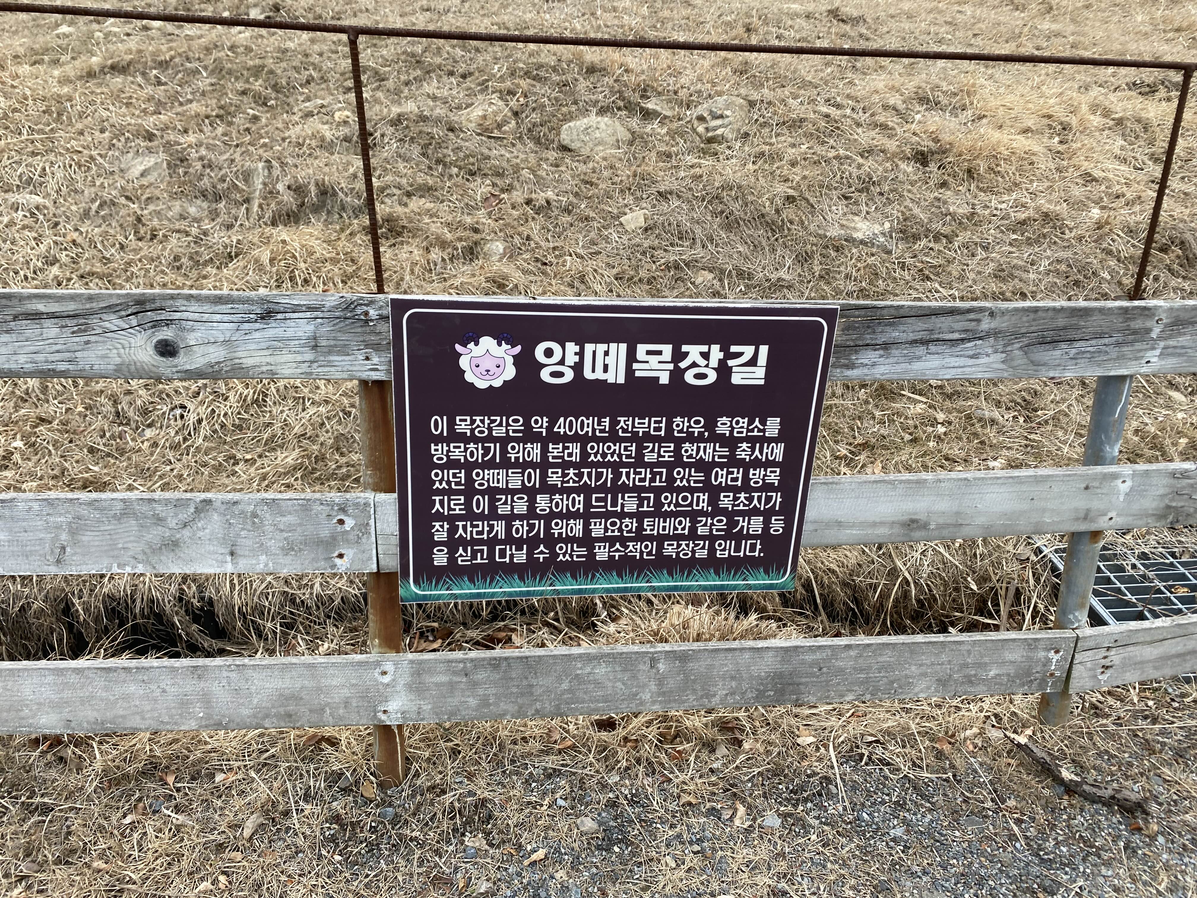 양떼목장길