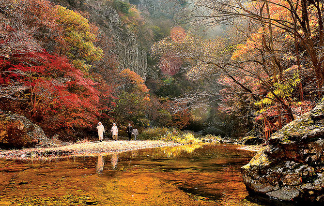 단풍 명소