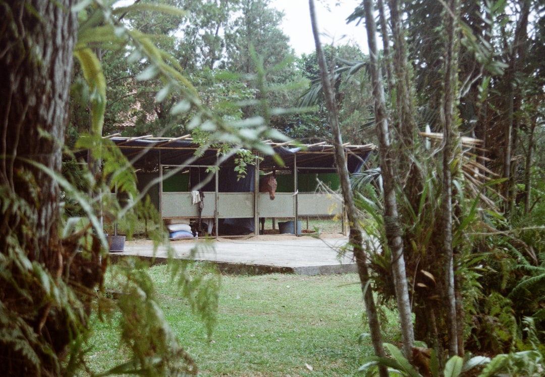 Residency