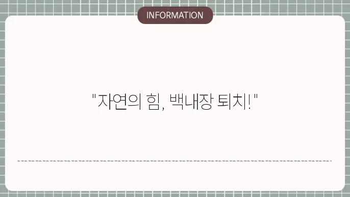 눈차즈의 이미지
