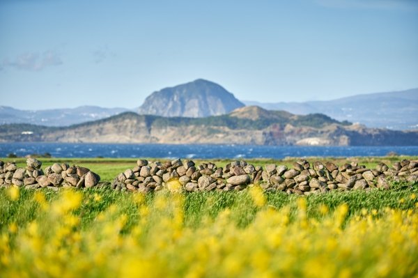 한라산탐방 예약시스템 바로가기