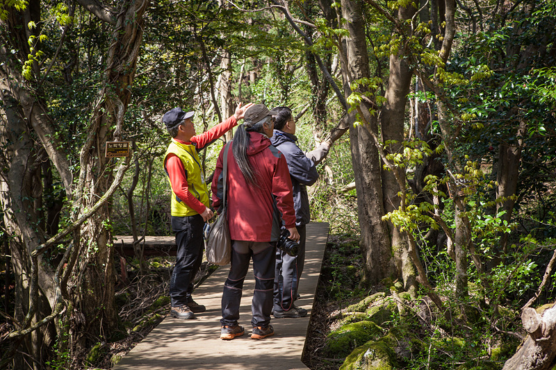 거문오름 탐방로 전경_Photo by Kim Sunghwan(Artageo)
