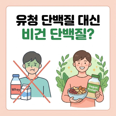 유청 단백질 먹으면 배 아픈 사람을 위한 비건 단백질 추천 3가지 및 섭취 가이드
