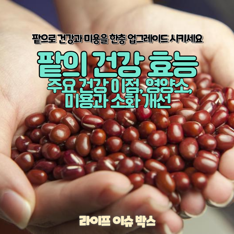 팥의 놀라운 건강 효능을 발견하세요.