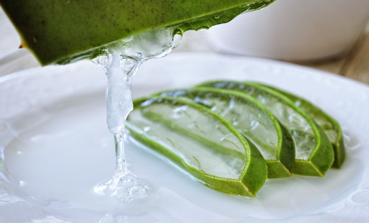 알로에
