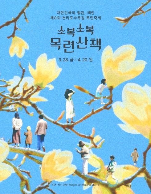 목련축제