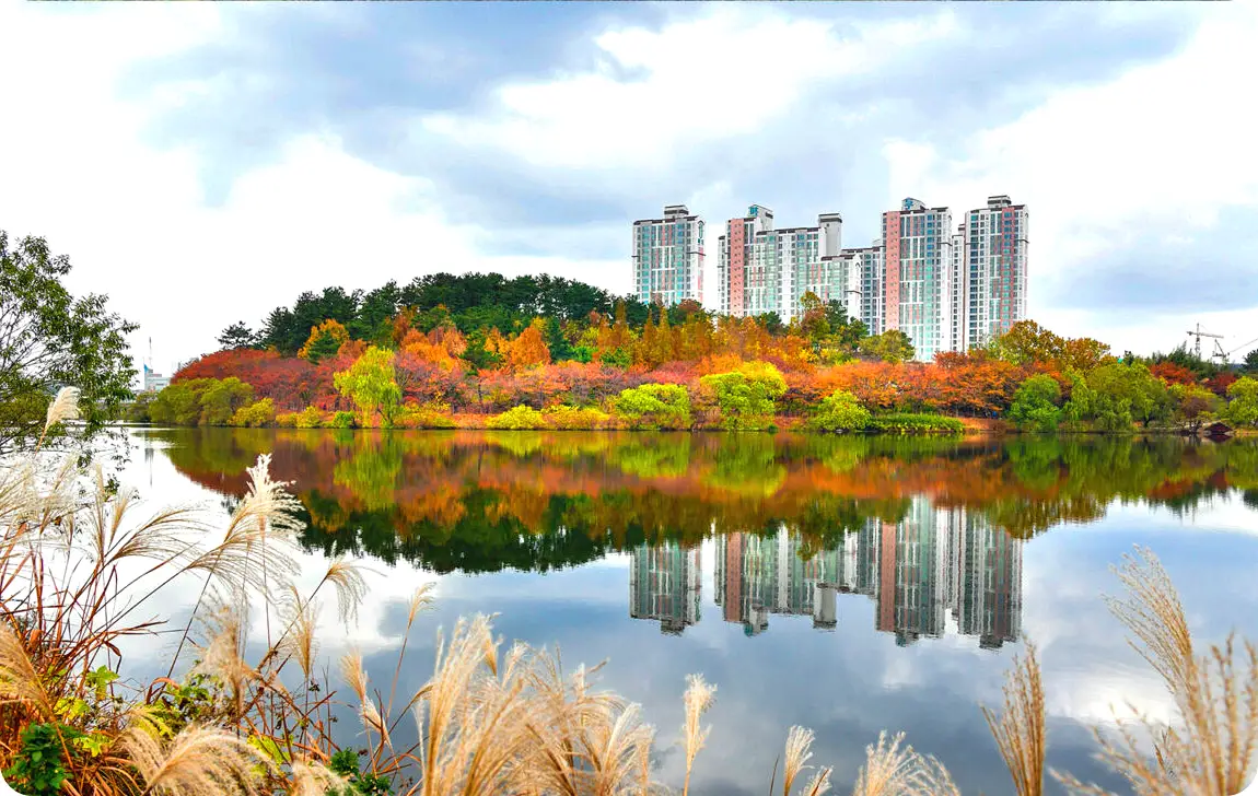 울산에서 즐기는 자전거 여행, 자전거 도로 완벽 가이드