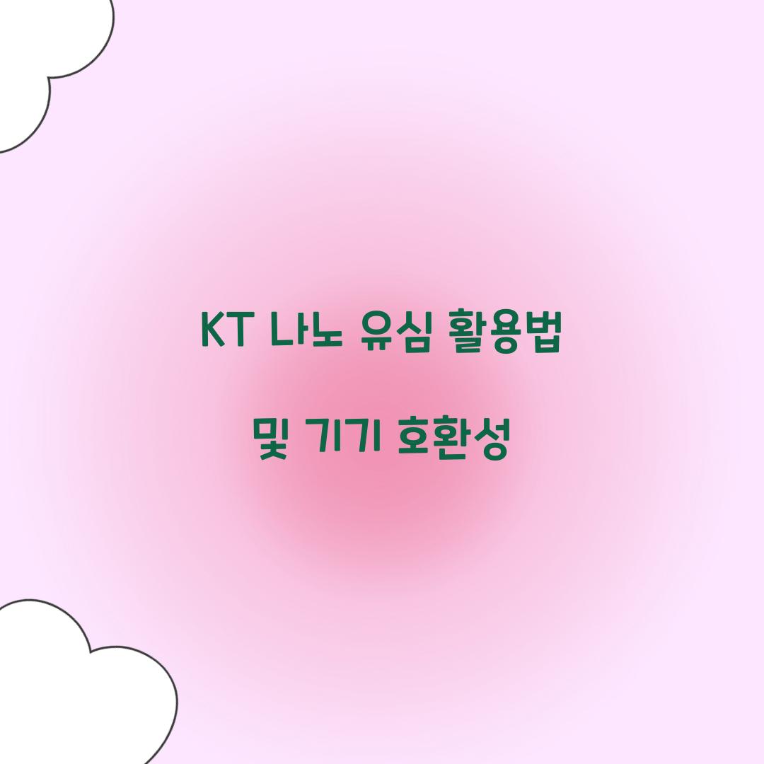 KT 나노 유심