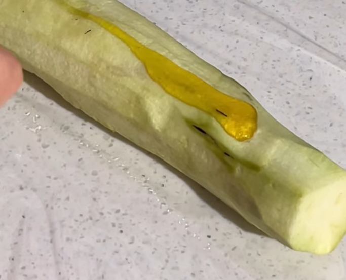 가지요리 : 가지육회