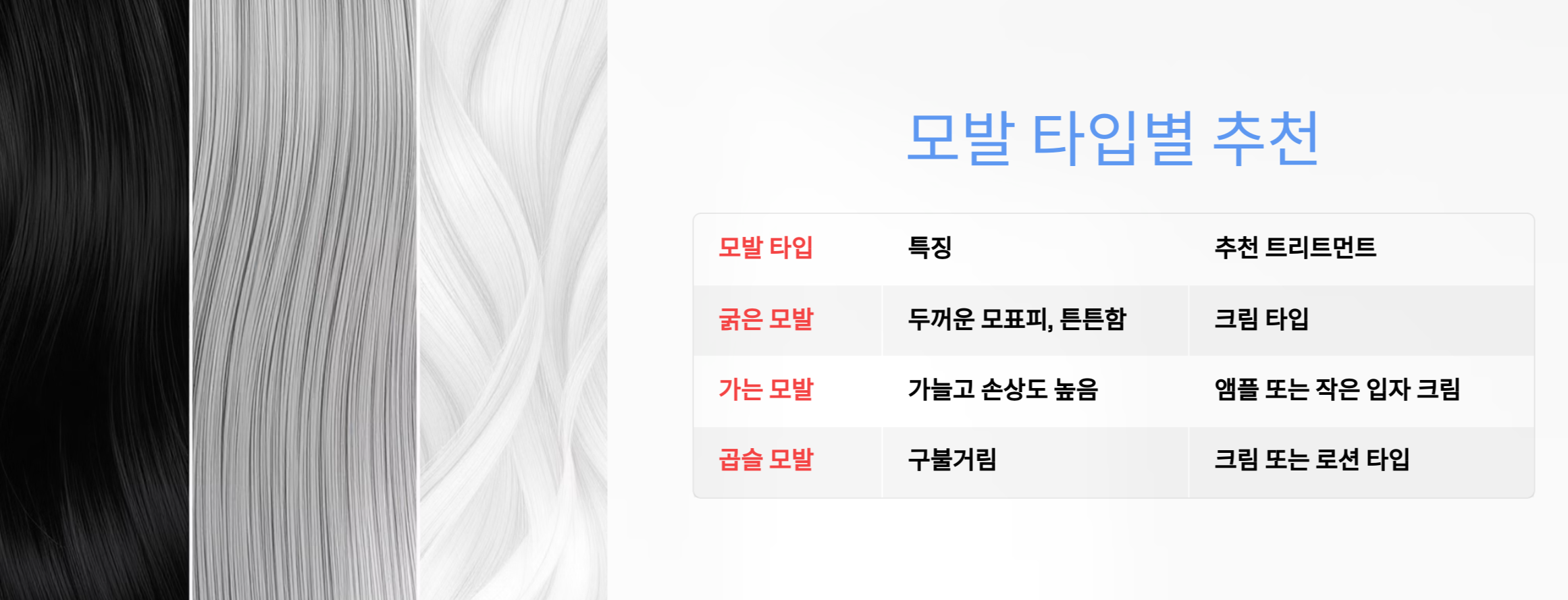 4) 두피 & 모발 영양 트리트먼트