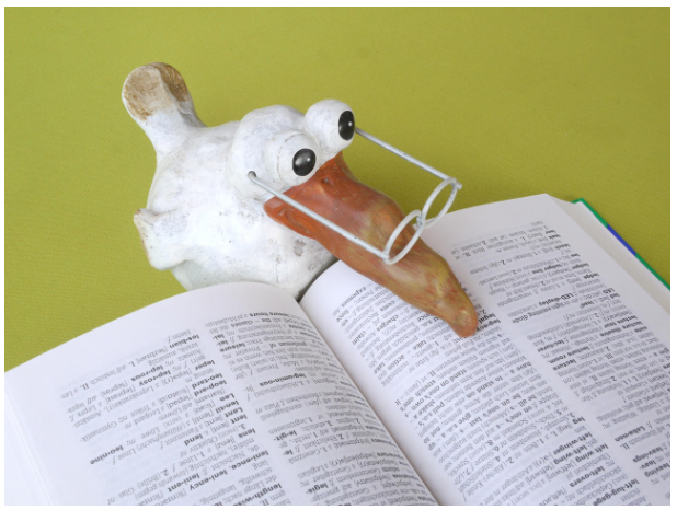 외국어 속에 숨어 있는 단어의 감정들 – 번역할 수 없는 단어들, 외국어 단어가 품은 감정의 결