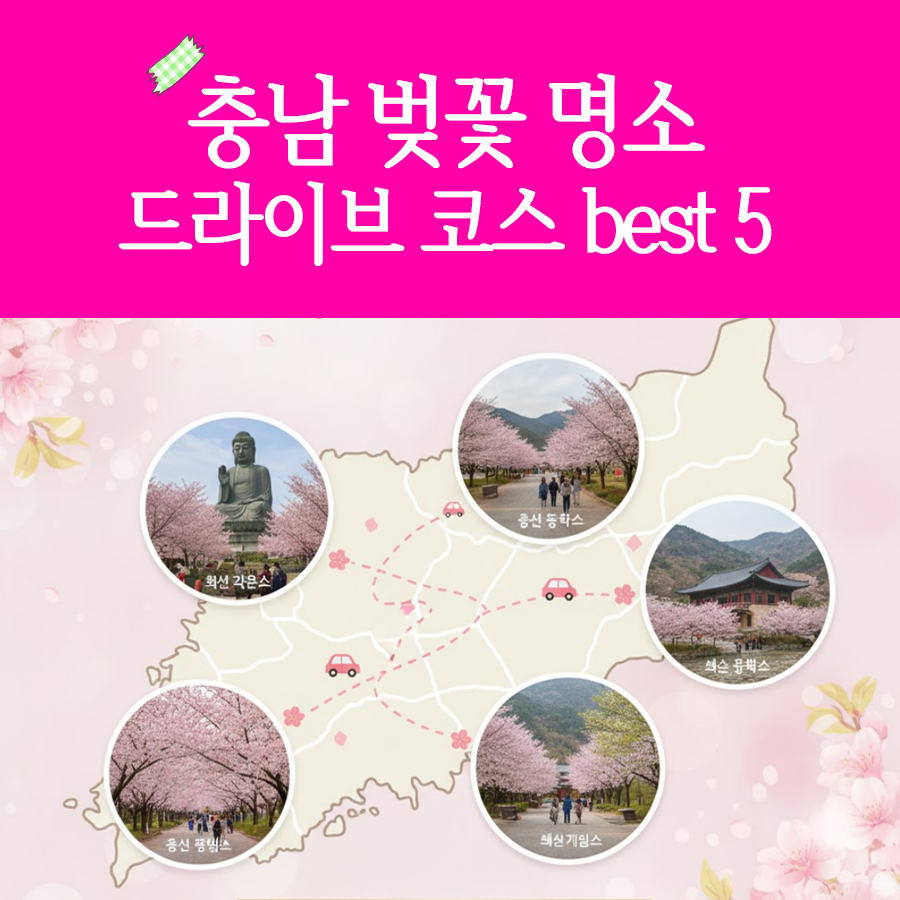 충남 벚꽃 명소 드라이브 코스 베스트 5 (각원사, 원성천, 공주 동학사, 서산 문수사, 서산 개심사 )