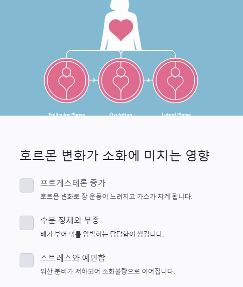 호르몬 변화가 소화에 미치는 영향