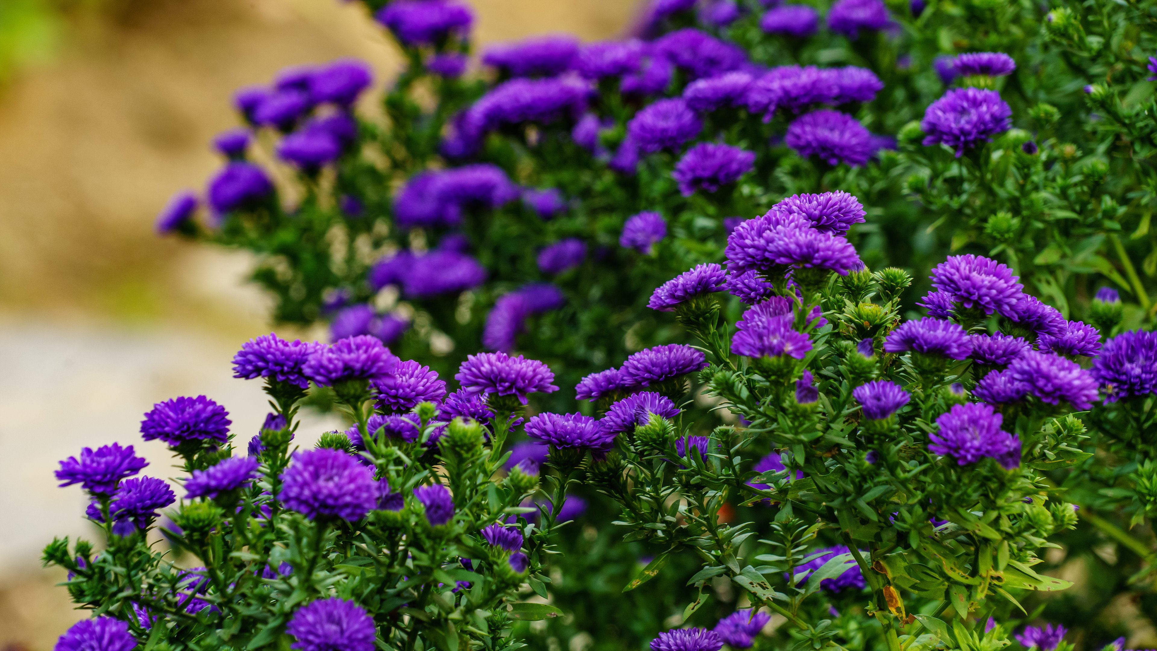 인천 석모도 수목원 입장료