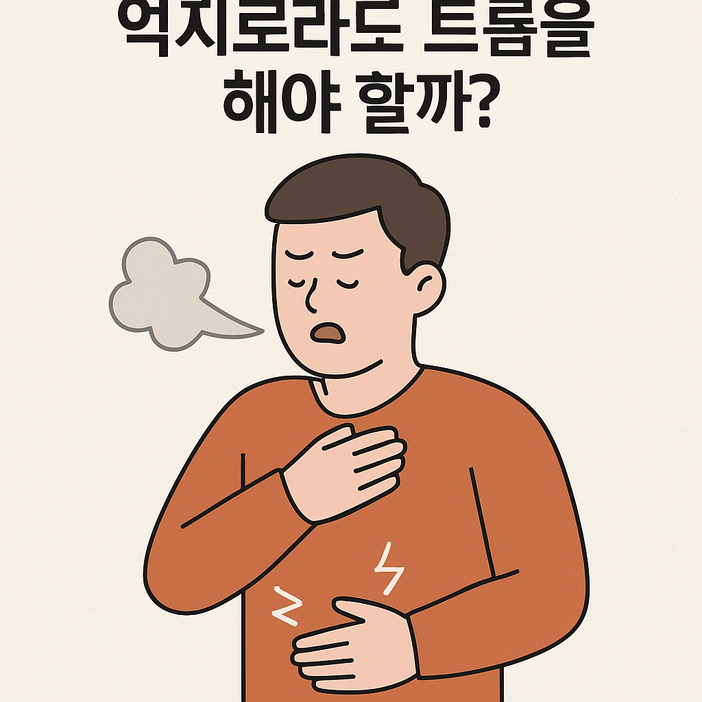 Alt 속성 문제 해결 설명 이미지