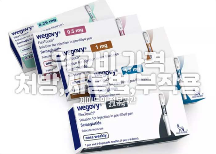 위고비 가격, 국내 출시, 처방, 사용법, 부작용