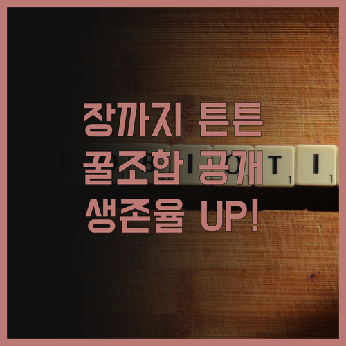 프로바이오틱스 생존율을 높이는 꿀 조