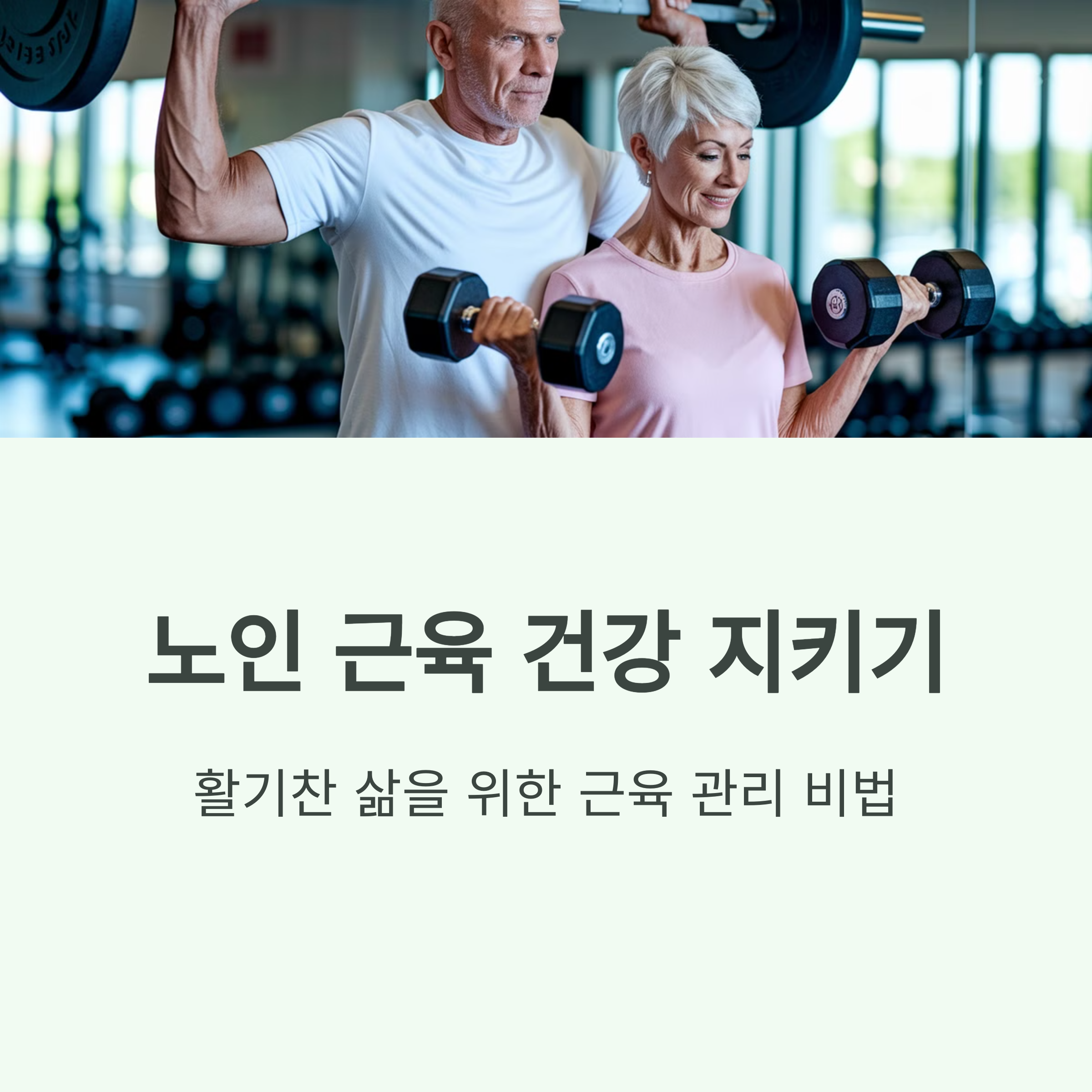 노인건강