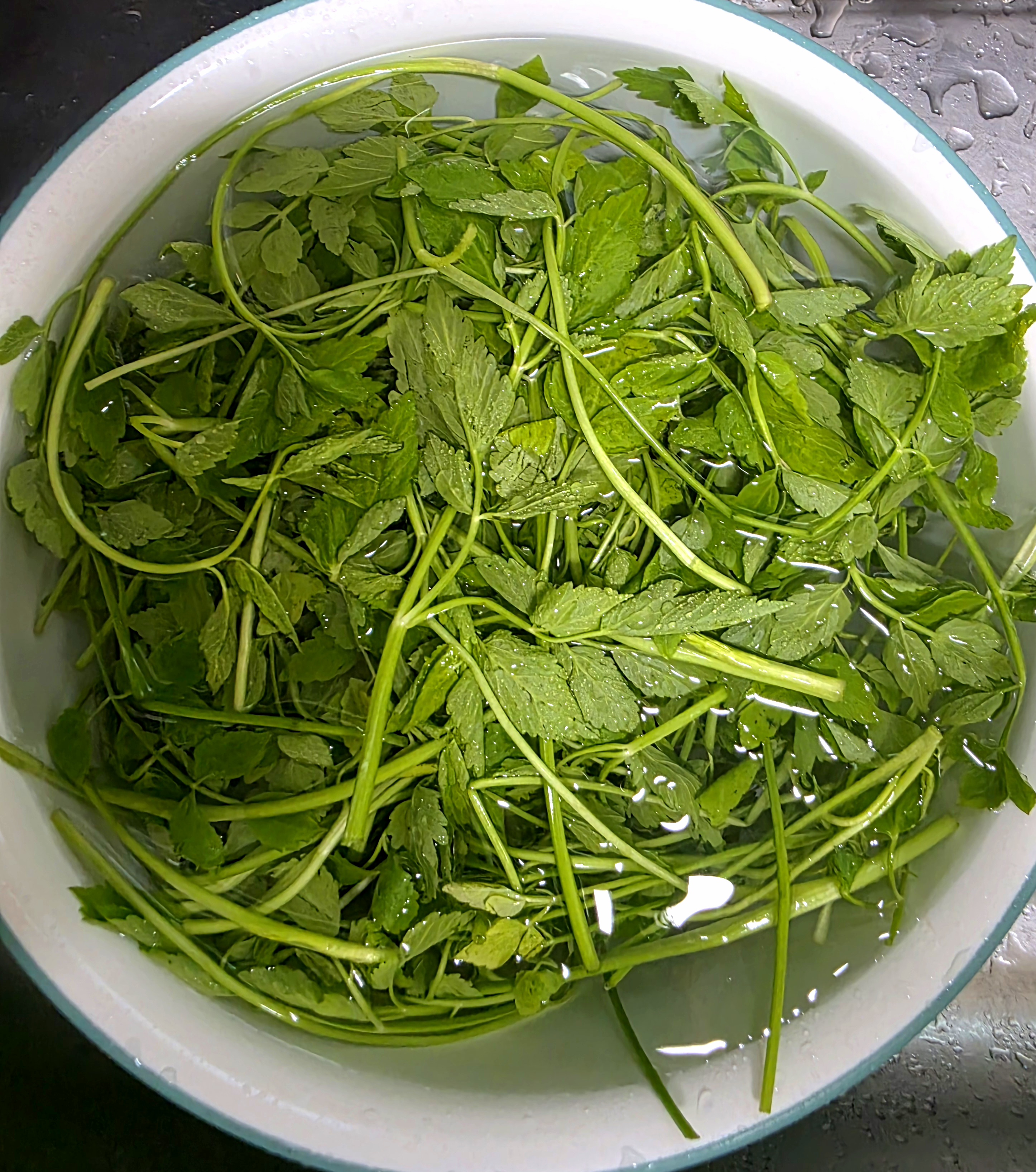 식초물에-세척했어요.