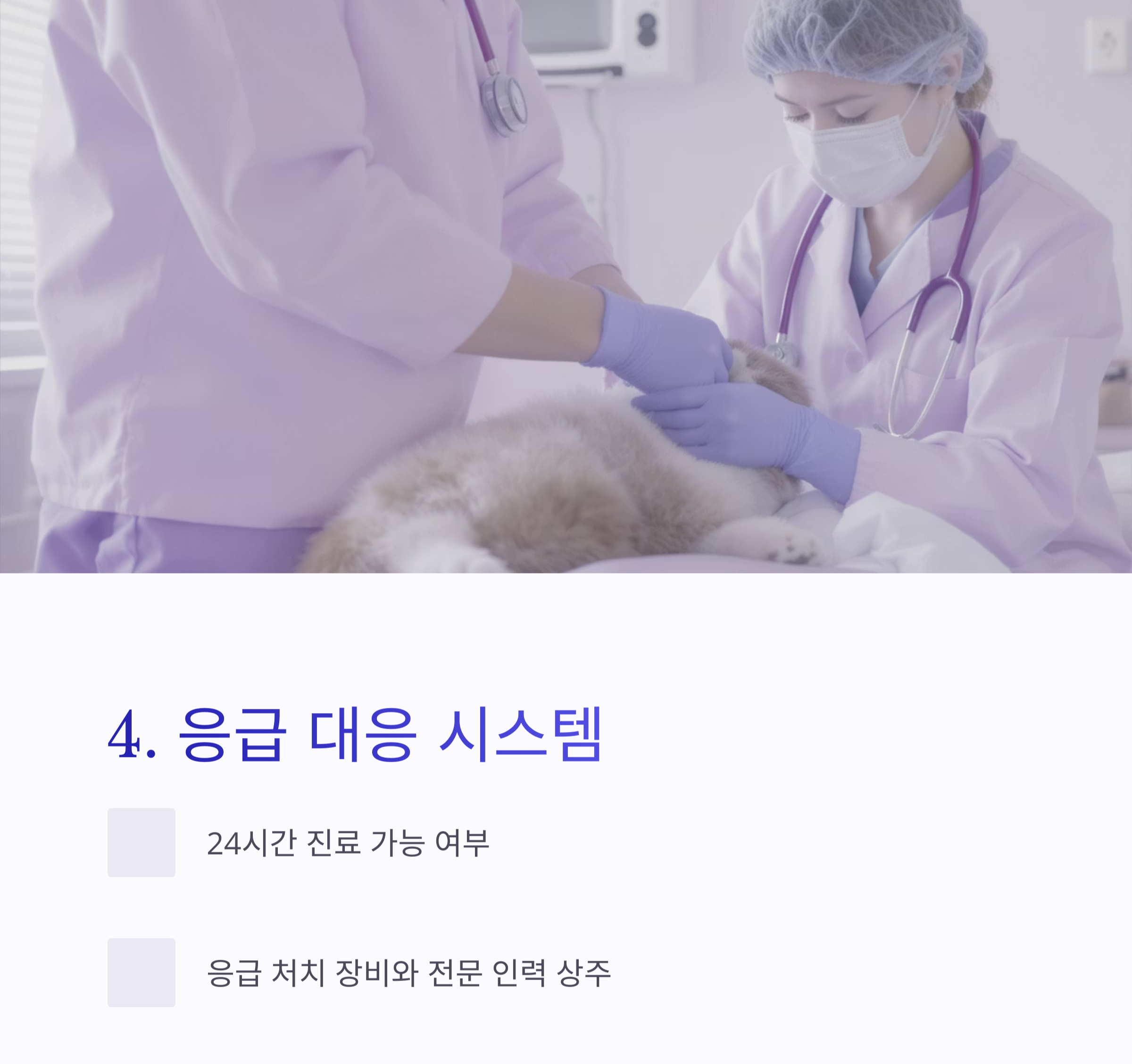 후회 없는 동물병원 선택을 위한 5가지 필수 체크포인트