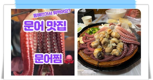 전현무계획2 삼척 문어숙회 골뱅이 수제비 후기