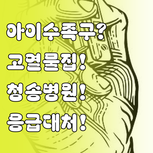 아이 수족구 고열 물집 대처 청송군 ..