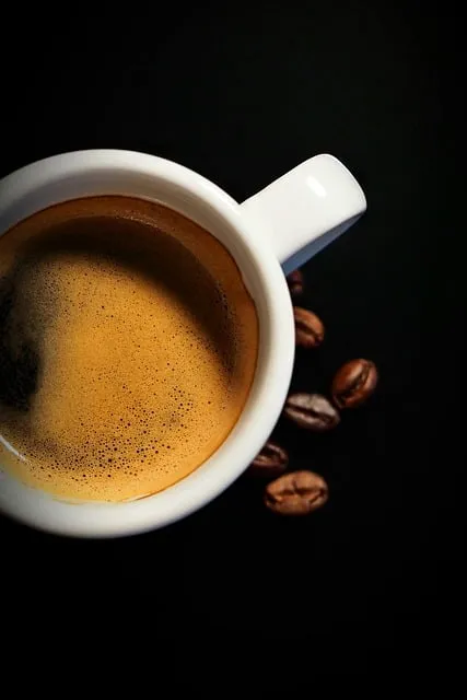 커피찌꺼기 퇴비 활용 비료대체 냄새관리 양조절 안전사용 팁_3