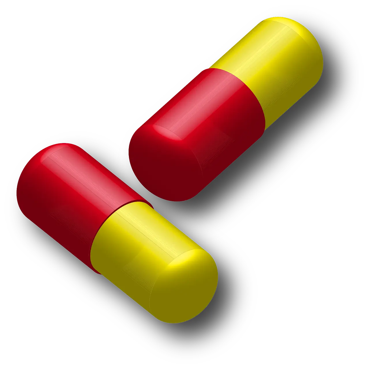 건강보험료 환급