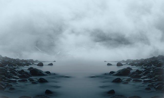 포화점을 향한 질주: 인간 개체군의 성장 둔화와 지속 가능한 한계