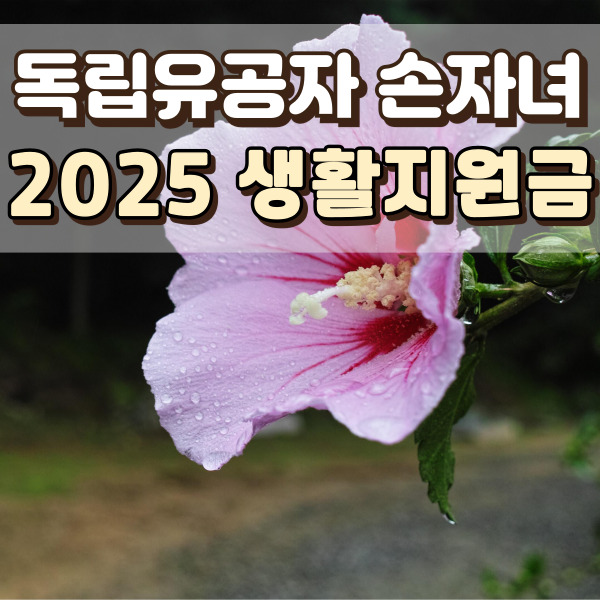 무궁화가 피었어요.