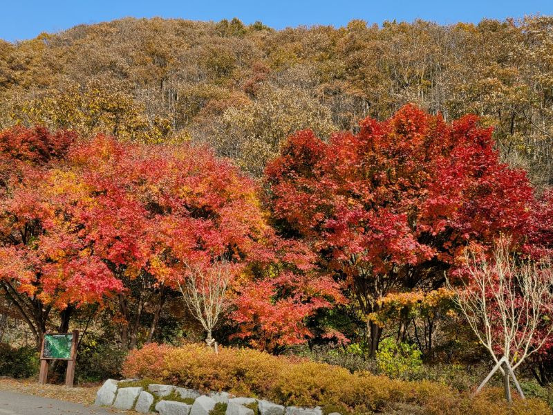 국립회문산자연휴양림