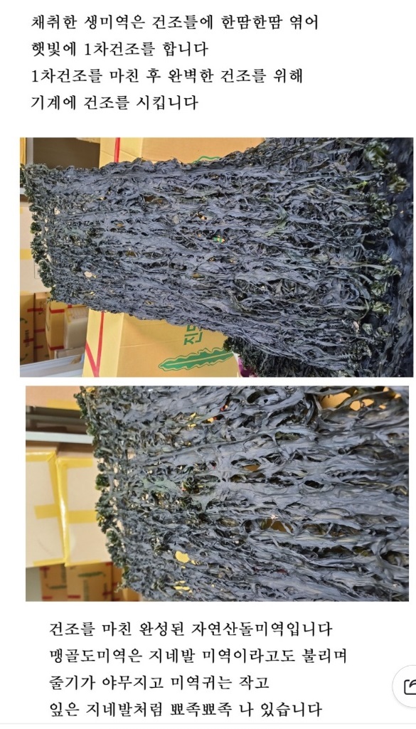 맹골도-자연산-돌미역-택배-주문