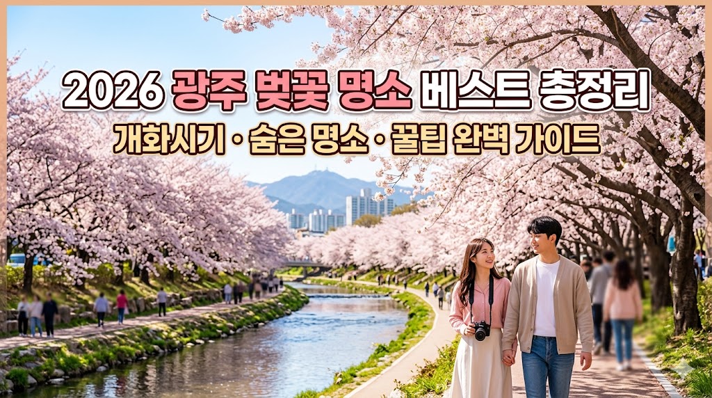 광주 벚꽃 명소