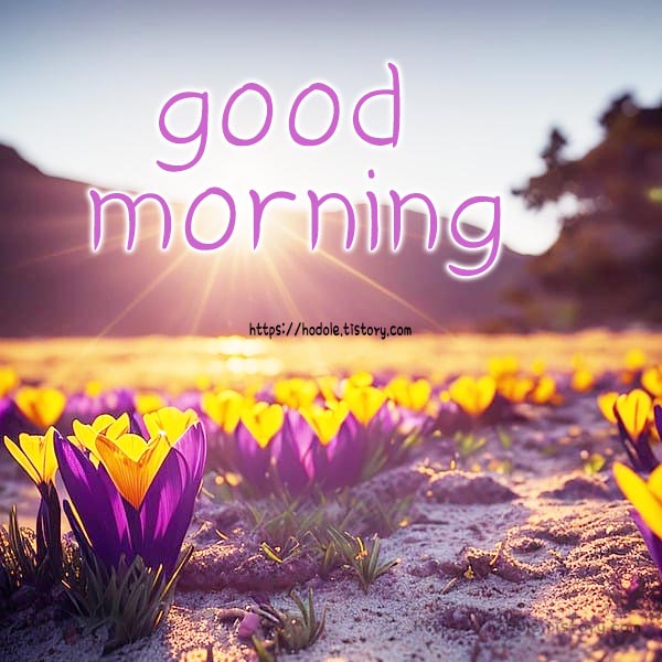 즐거운 아침인사말