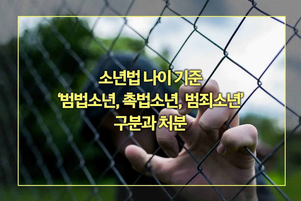 범법소년, 촉법소년, 범죄소년 구분 처분