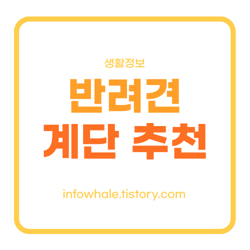 강아지 슬개골 탈골 예방하려면? 반려견 2,3단 매트 계단 추천